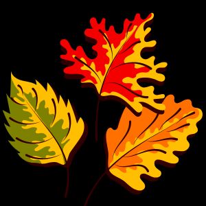 Fall Break September 2023