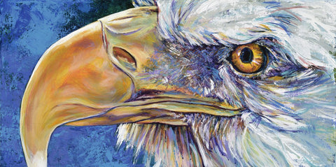 American Bald Eagle limited edition canvas giclee print