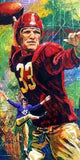 Sammy Baugh autographed limited edition print