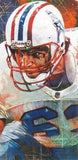 Mike Munchak autographed limited edition print