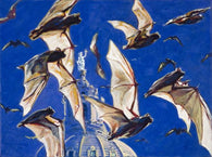 Bats in Austin AKA Bat Party fine art print