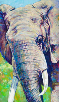 Elephant canvas giclee print fine art