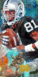 Tim Brown autographed limited edition print