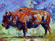 Buffalo Splash fine art print, limited edition canvas giclee by Robert Hurst