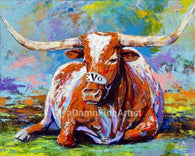 Longhorn #14 Aka Bevo (Xiv) Limited Edition Canvas Giclee Print Canvas