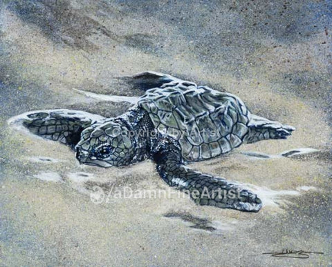 Sea Turtle in the Sand limited edition canvas giclee print by Robert Hurst