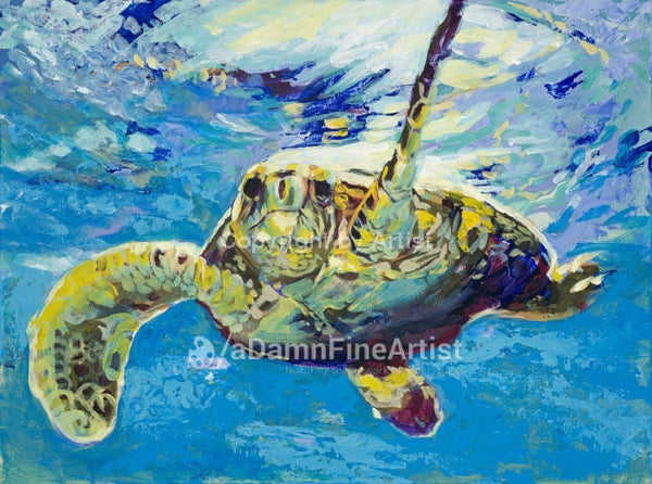 Tortuga Limited Edition Canvas Giclee Print Featuring A Sea Turtle Canvas